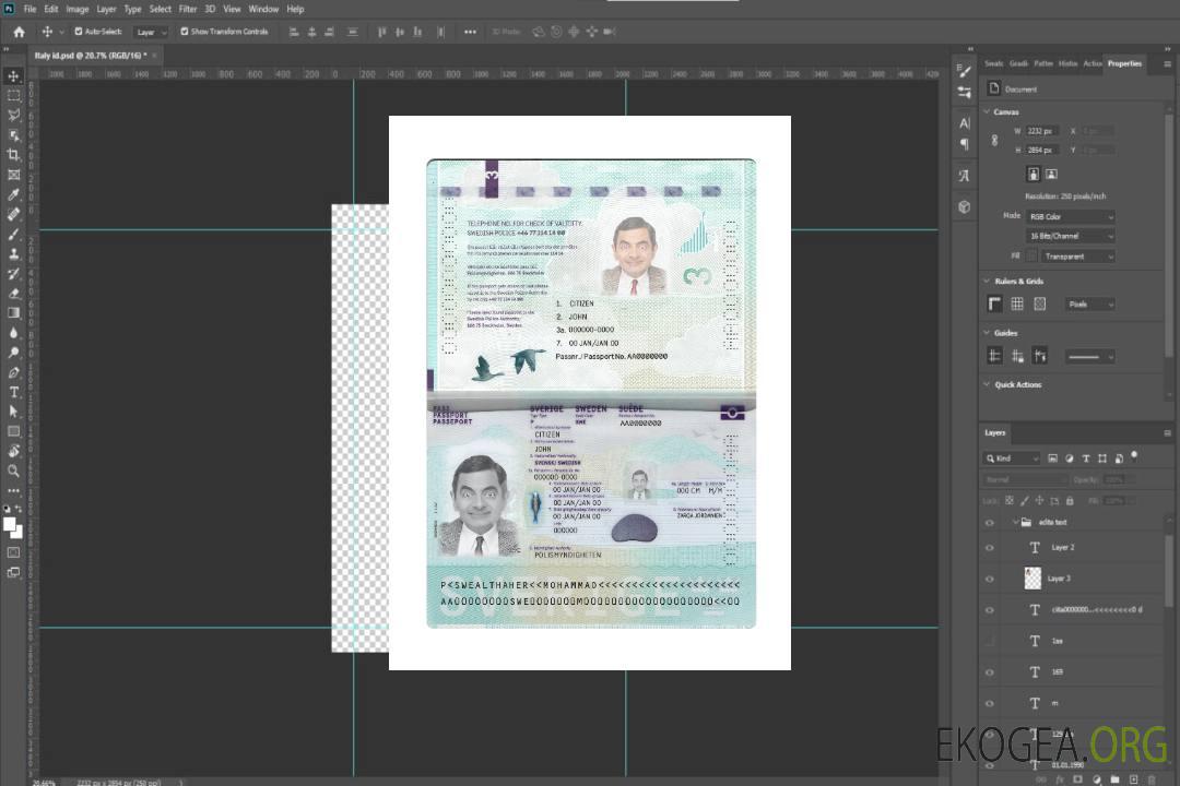 Passeport suédois nouveau 2022-présent template